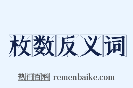 枚数反义词是什么意思的图片